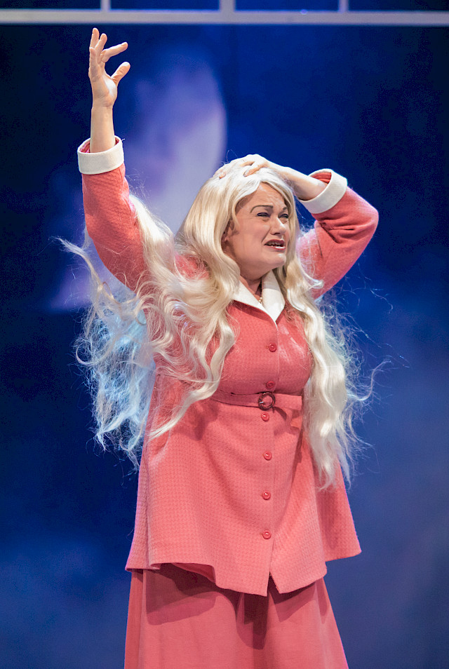 Tohvelisankarin rouva/Karoliina 2017